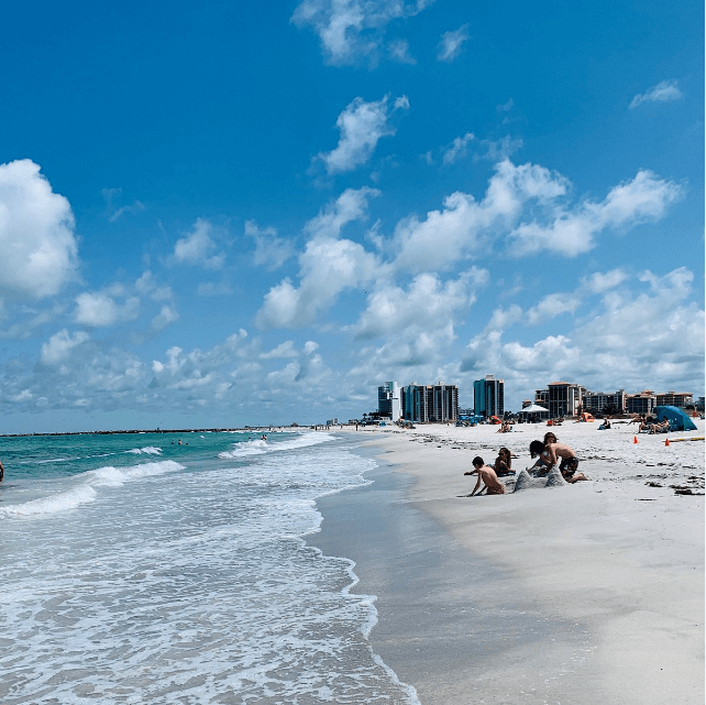 Fun Things to Do in Clearwater, Florida Clearwater, Florida Sand Key Park