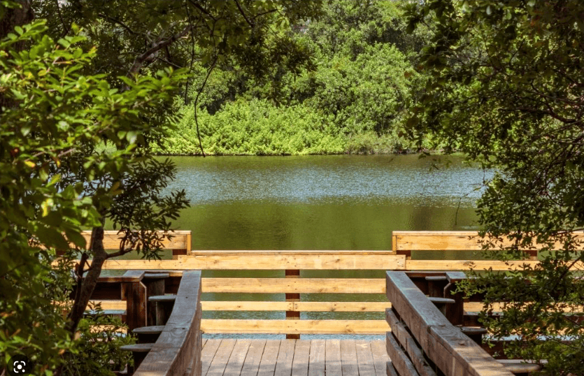 Fun Things to Do in Clearwater, Florida Clearwater, Florida Moccasin Lake Nature Park