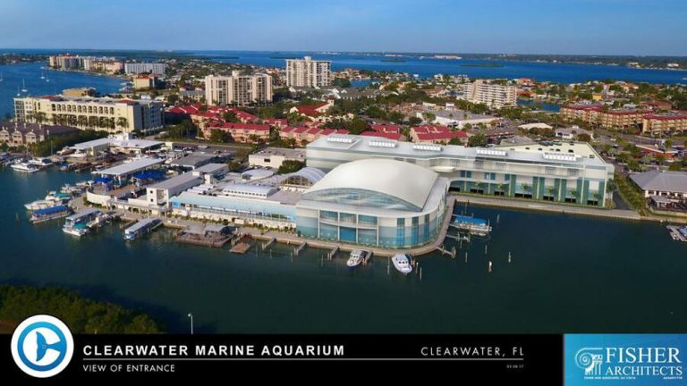 deletemyinfo clearwater marine aquarium