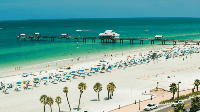 deletemyinfo paradise of the west coast florida